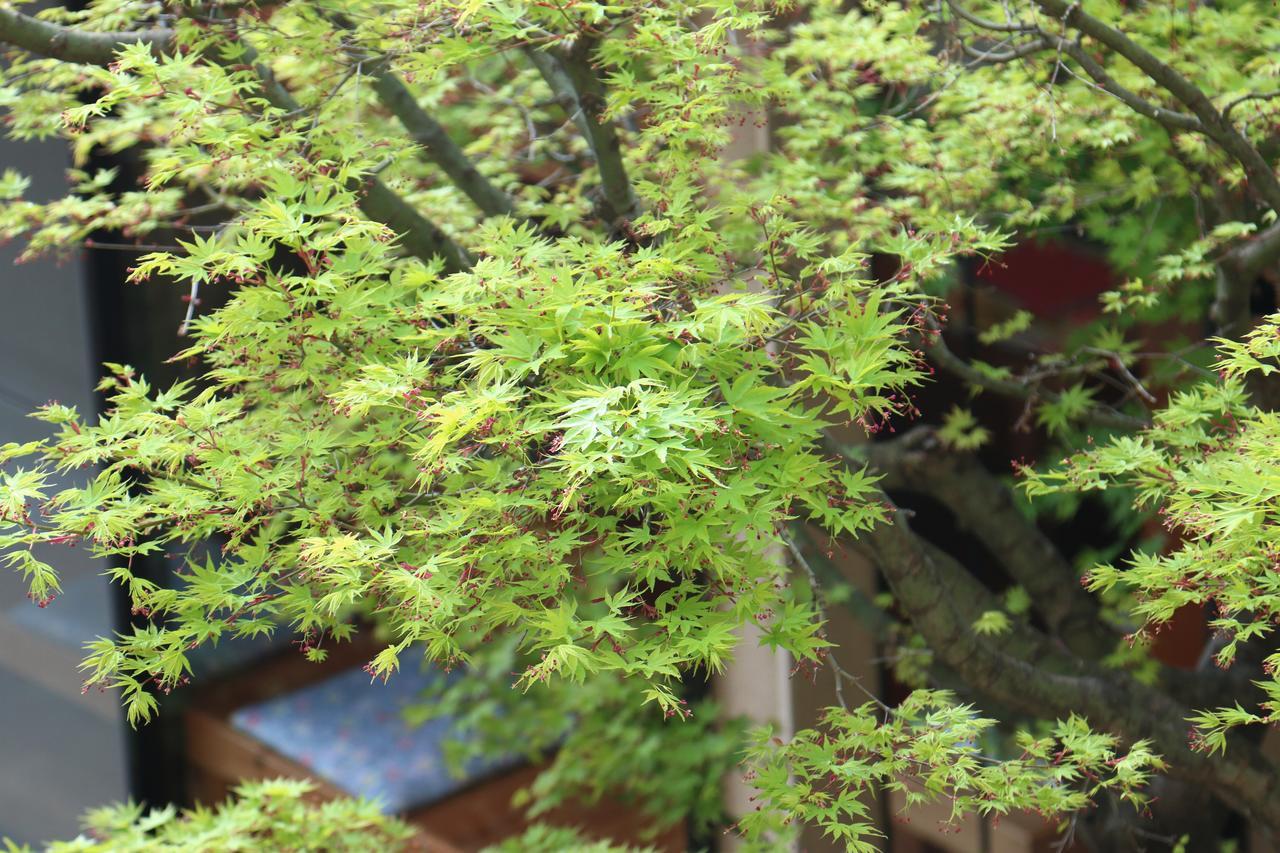 Okaya Ryokan Okicu Kültér fotó